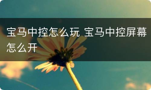 宝马中控怎么玩 宝马中控屏幕怎么开