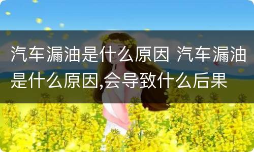 汽车漏油是什么原因 汽车漏油是什么原因,会导致什么后果