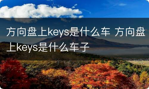 方向盘上keys是什么车 方向盘上keys是什么车子