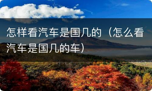 怎样看汽车是国几的（怎么看汽车是国几的车）