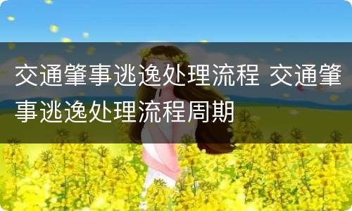 交通肇事逃逸处理流程 交通肇事逃逸处理流程周期