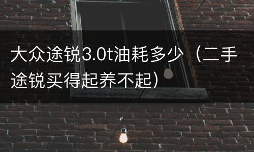 大众途锐3.0t油耗多少（二手途锐买得起养不起）