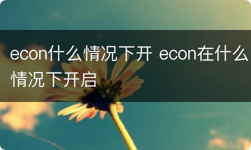 econ什么情况下开 econ在什么情况下开启