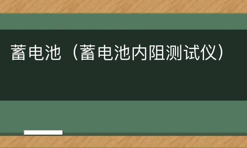 蓄电池（蓄电池内阻测试仪）