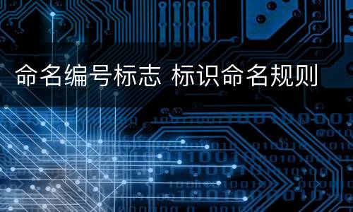 命名编号标志 标识命名规则
