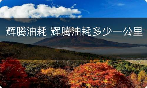 辉腾油耗 辉腾油耗多少一公里