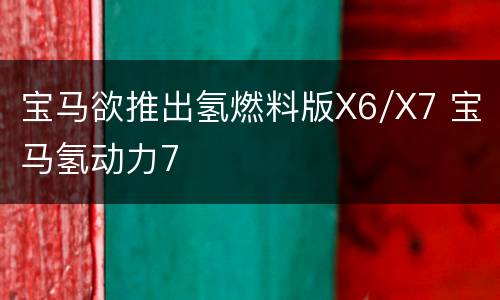 宝马欲推出氢燃料版X6/X7 宝马氢动力7
