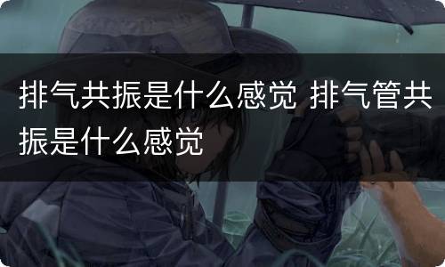 排气共振是什么感觉 排气管共振是什么感觉