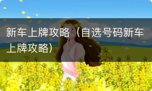 新车上牌攻略（自选号码新车上牌攻略）