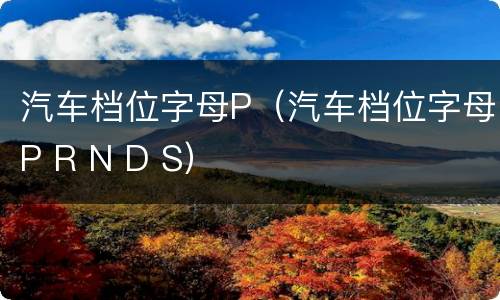 汽车档位字母P（汽车档位字母P R N D S）