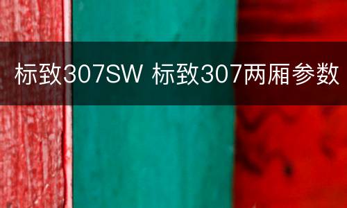 标致307SW 标致307两厢参数