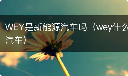 WEY是新能源汽车吗（wey什么汽车）