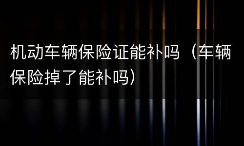 机动车辆保险证能补吗（车辆保险掉了能补吗）