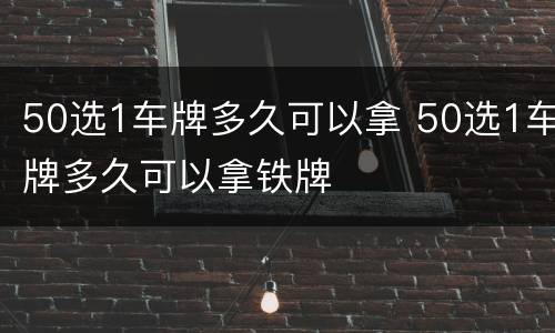 50选1车牌多久可以拿 50选1车牌多久可以拿铁牌