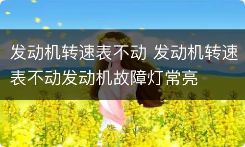 发动机转速表不动 发动机转速表不动发动机故障灯常亮