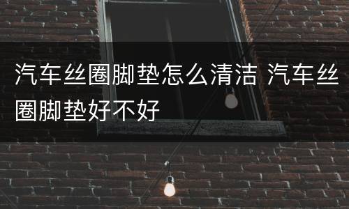 汽车丝圈脚垫怎么清洁 汽车丝圈脚垫好不好