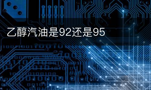 乙醇汽油是92还是95