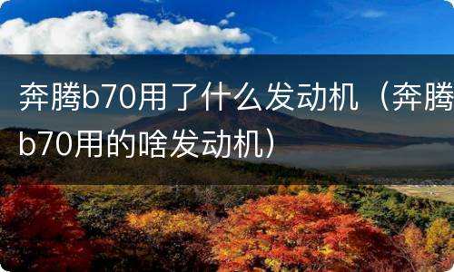 奔腾b70用了什么发动机（奔腾b70用的啥发动机）