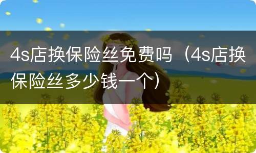 4s店换保险丝免费吗（4s店换保险丝多少钱一个）