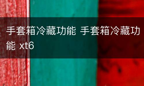 手套箱冷藏功能 手套箱冷藏功能 xt6