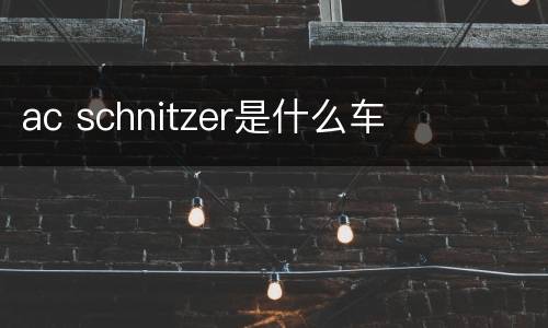 ac schnitzer是什么车