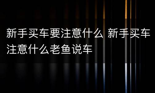 新手买车要注意什么 新手买车注意什么老鱼说车
