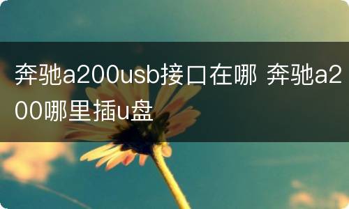 奔驰a200usb接口在哪 奔驰a200哪里插u盘