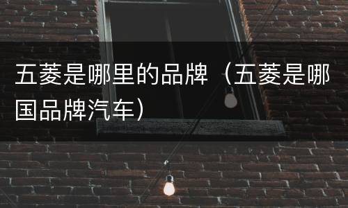 五菱是哪里的品牌（五菱是哪国品牌汽车）