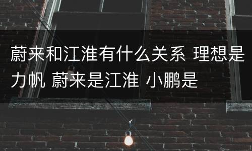 蔚来和江淮有什么关系 理想是力帆 蔚来是江淮 小鹏是