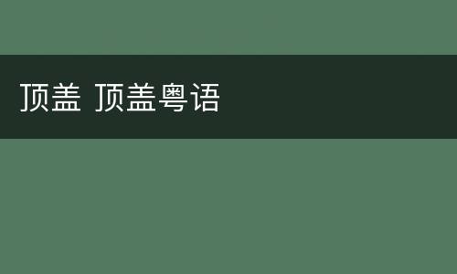 顶盖 顶盖粤语