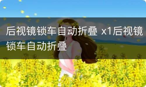 后视镜锁车自动折叠 x1后视镜锁车自动折叠