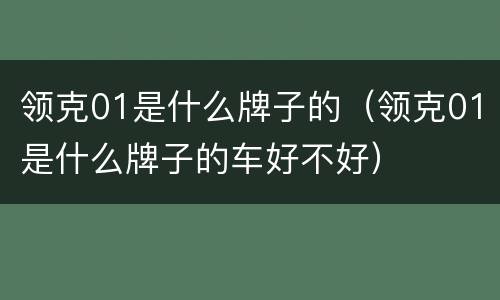领克01是什么牌子的（领克01是什么牌子的车好不好）