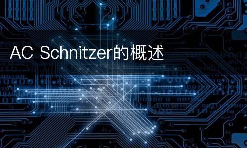AC Schnitzer的概述