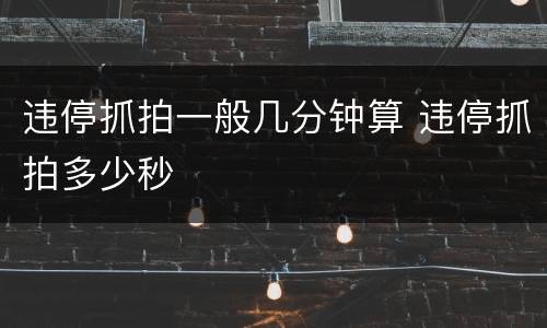 违停抓拍一般几分钟算 违停抓拍多少秒