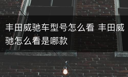 丰田威驰车型号怎么看 丰田威驰怎么看是哪款