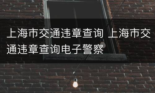 上海市交通违章查询 上海市交通违章查询电子警察