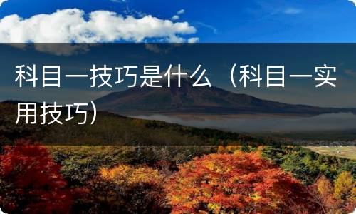 科目一技巧是什么（科目一实用技巧）