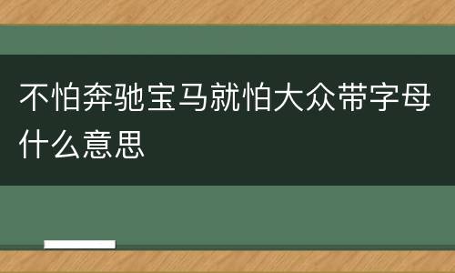 不怕奔驰宝马就怕大众带字母什么意思