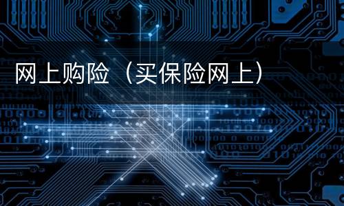 网上购险（买保险网上）