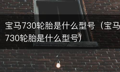 宝马730轮胎是什么型号（宝马730轮胎是什么型号）