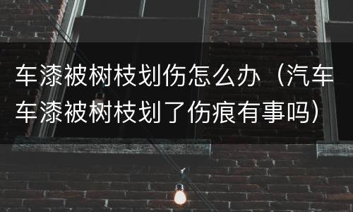 车漆被树枝划伤怎么办（汽车车漆被树枝划了伤痕有事吗）