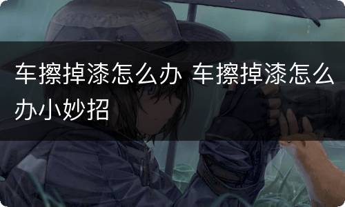 车擦掉漆怎么办 车擦掉漆怎么办小妙招