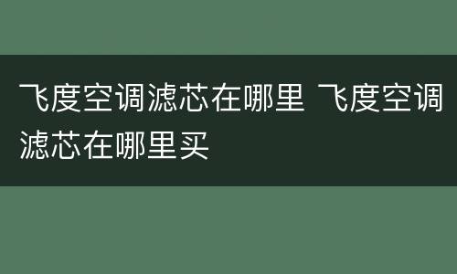 飞度空调滤芯在哪里 飞度空调滤芯在哪里买
