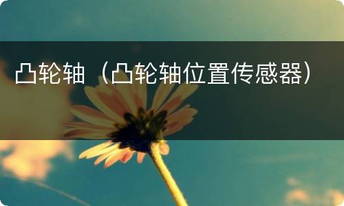 凸轮轴（凸轮轴位置传感器）