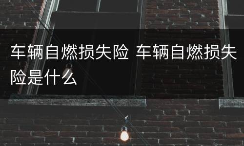 车辆自燃损失险 车辆自燃损失险是什么