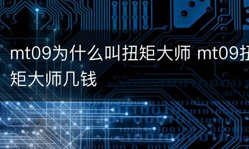 mt09为什么叫扭矩大师 mt09扭矩大师几钱