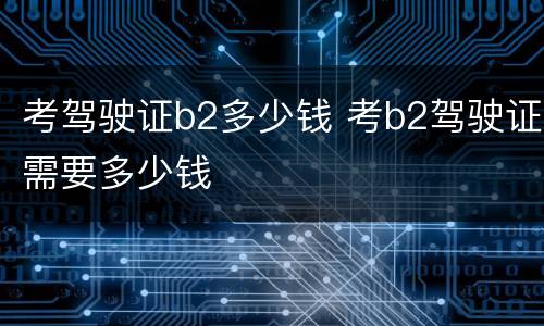 考驾驶证b2多少钱 考b2驾驶证需要多少钱