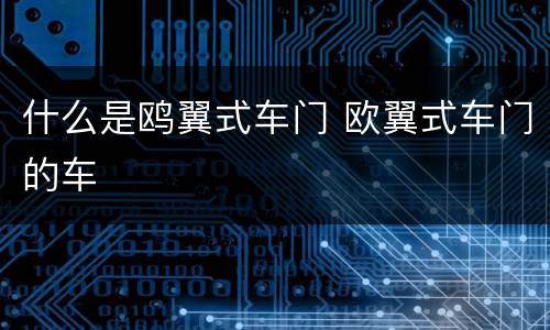 什么是鸥翼式车门 欧翼式车门的车