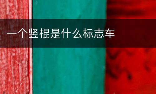 一个竖棍是什么标志车