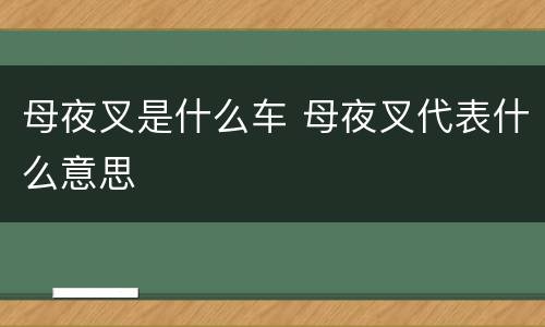 母夜叉是什么车 母夜叉代表什么意思